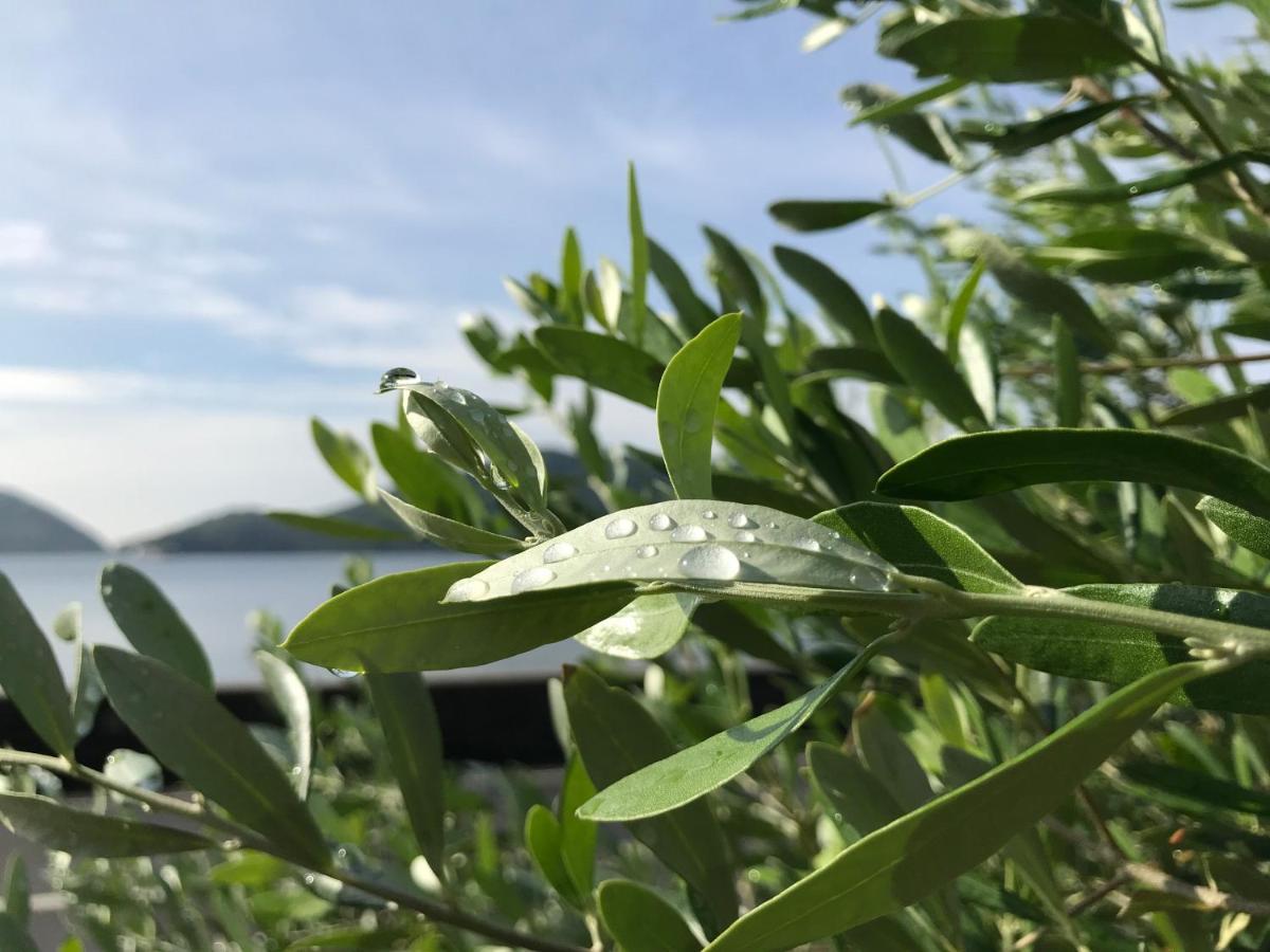 Shodoshima Olive Youth Hostel Esterno foto